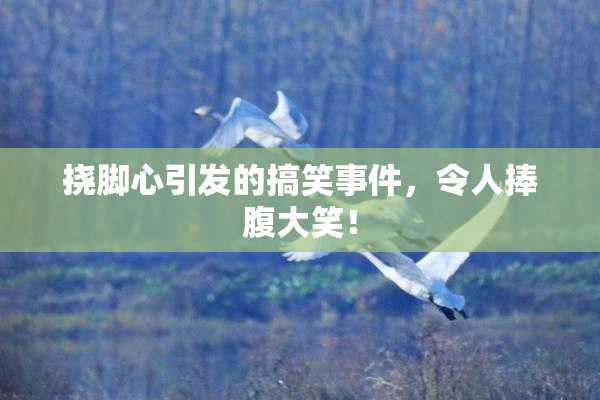 挠脚心引发的搞笑事件，令人捧腹大笑！