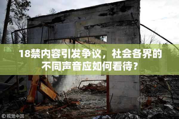 18禁内容引发争议，社会各界的不同声音应如何看待？