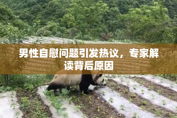 男性自慰问题引发热议，专家解读背后原因