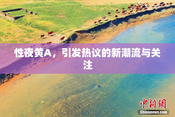 性夜黄A，引发热议的新潮流与关注