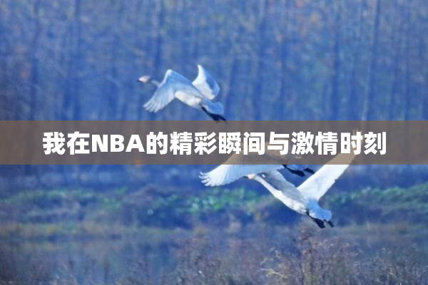 我在NBA的精彩瞬间与激情时刻