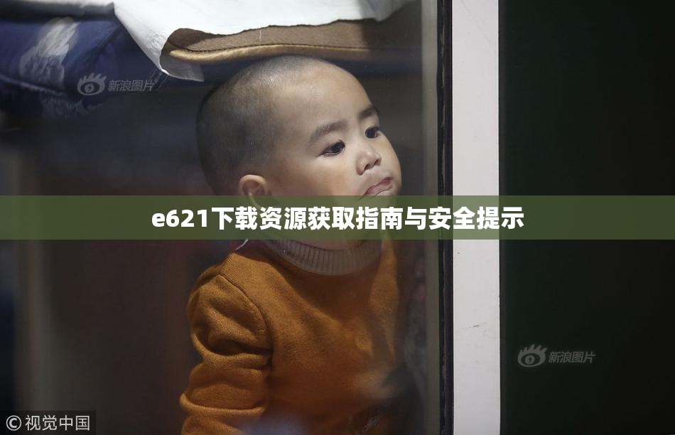 e621下载资源获取指南与安全提示