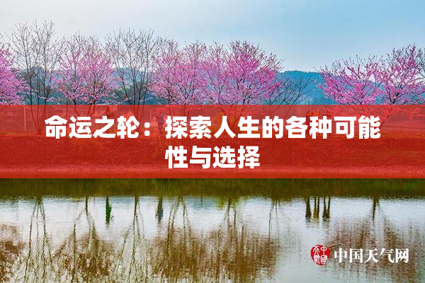 命运之轮：探索人生的各种可能性与选择