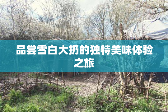 品尝雪白大扔的独特美味体验之旅