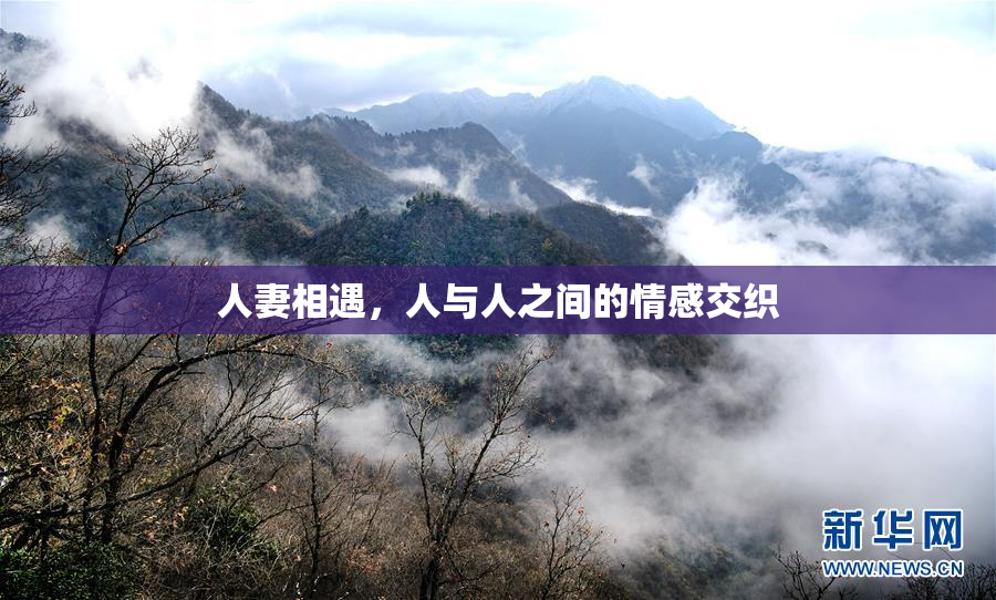 人妻相遇，人与人之间的情感交织