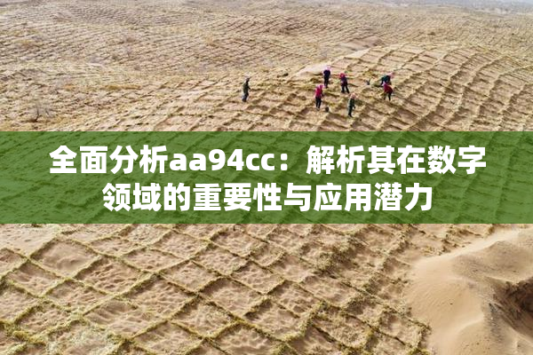 全面分析aa94cc：解析其在数字领域的重要性与应用潜力
