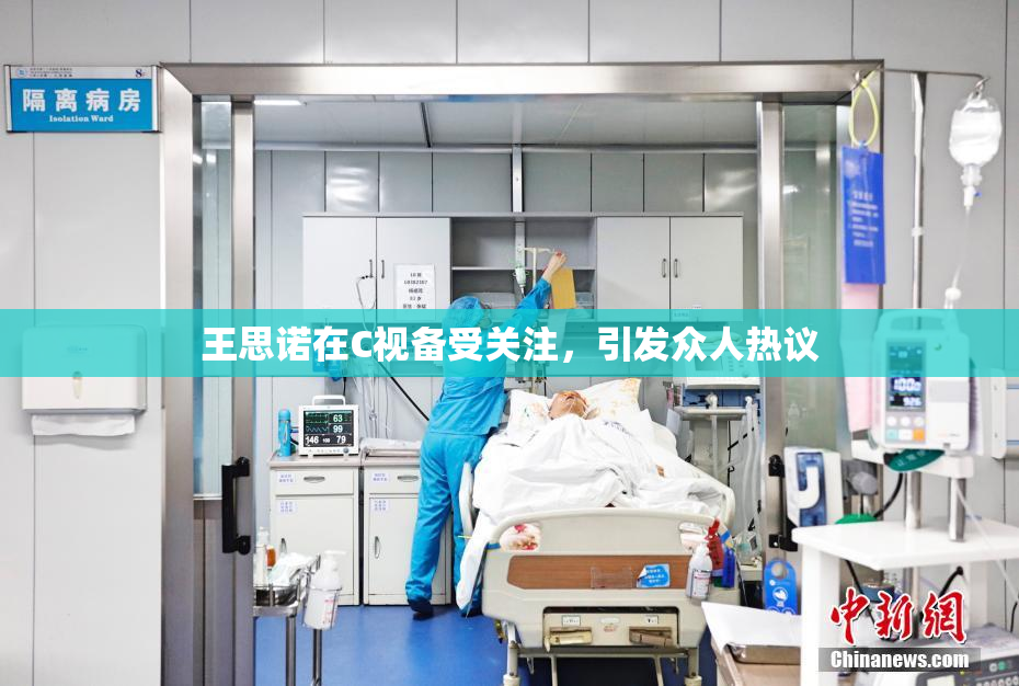王思诺在C视备受关注，引发众人热议