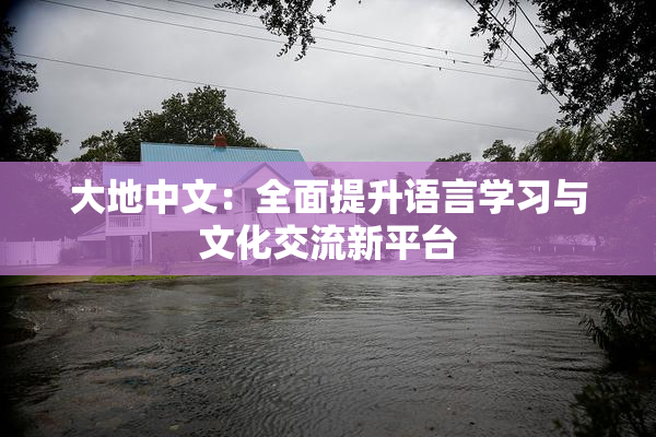 大地中文：全面提升语言学习与文化交流新平台
