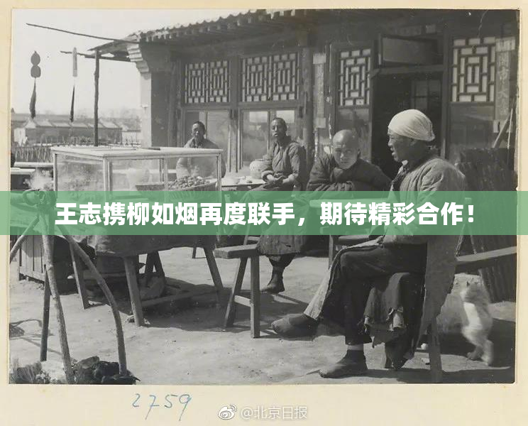 王志携柳如烟再度联手，期待精彩合作！
