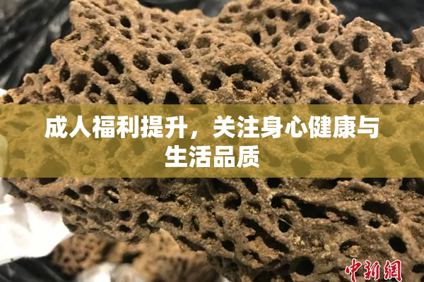 成人福利提升，关注身心健康与生活品质