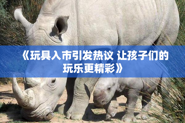 《玩具入市引发热议 让孩子们的玩乐更精彩》