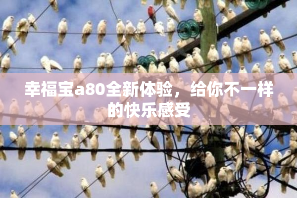 幸福宝a80全新体验，给你不一样的快乐感受