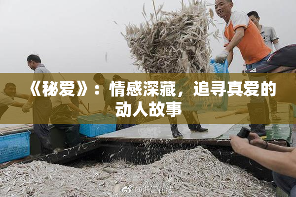 《秘爱》：情感深藏，追寻真爱的动人故事