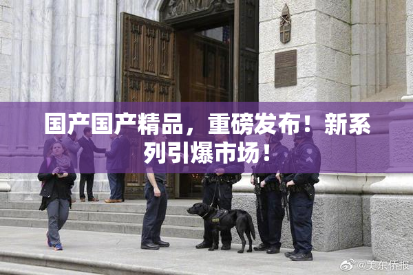 国产国产精品，重磅发布！新系列引爆市场！