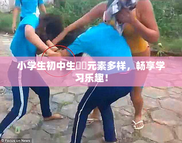 小学生初中生❌‌元素多样，畅享学习乐趣！