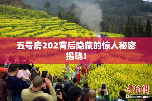 五号房202背后隐藏的惊人秘密揭晓！