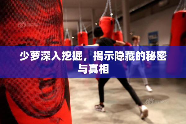 少萝深入挖掘，揭示隐藏的秘密与真相
