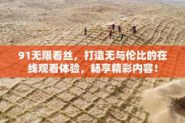 91无限看丝，打造无与伦比的在线观看体验，畅享精彩内容！