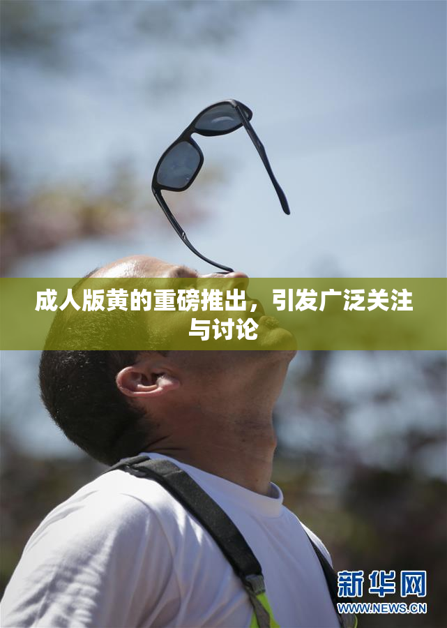 成人版黄的重磅推出，引发广泛关注与讨论