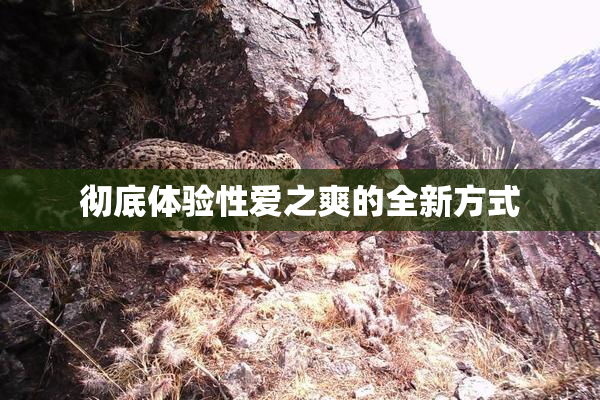 彻底体验性爱之爽的全新方式
