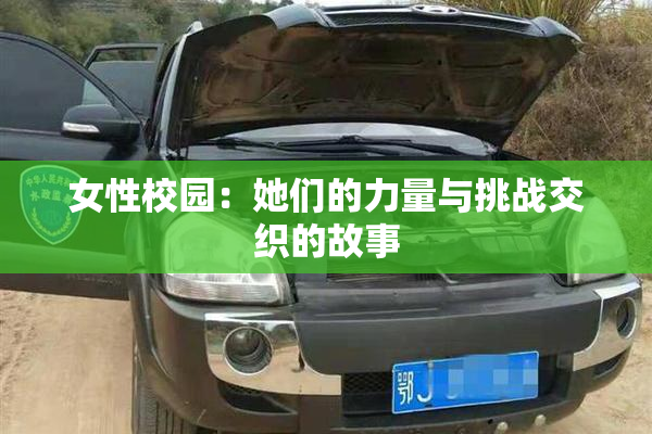 女性校园：她们的力量与挑战交织的故事
