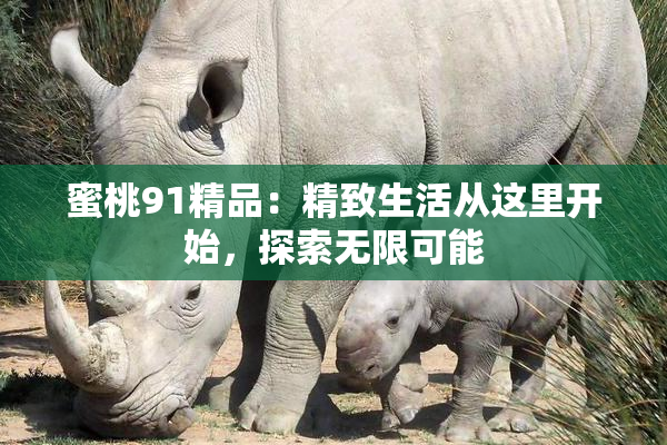 蜜桃91精品：精致生活从这里开始，探索无限可能
