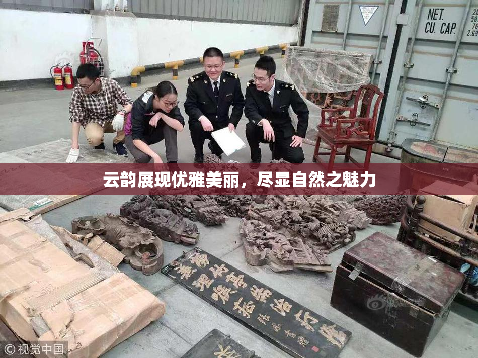 云韵展现优雅美丽，尽显自然之魅力