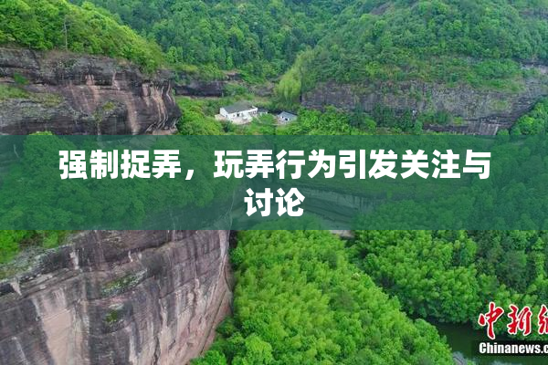 强制捉弄，玩弄行为引发关注与讨论