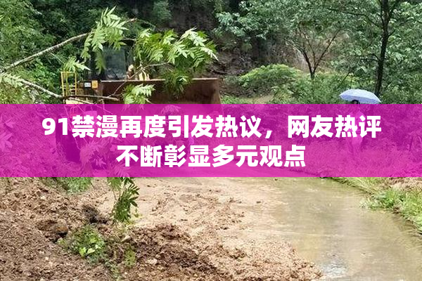 91禁漫再度引发热议，网友热评不断彰显多元观点