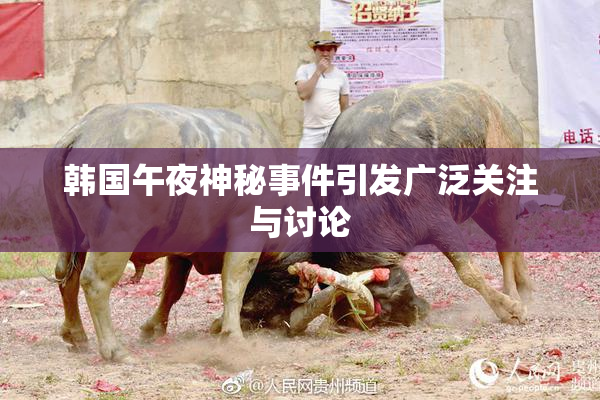 韩国午夜神秘事件引发广泛关注与讨论