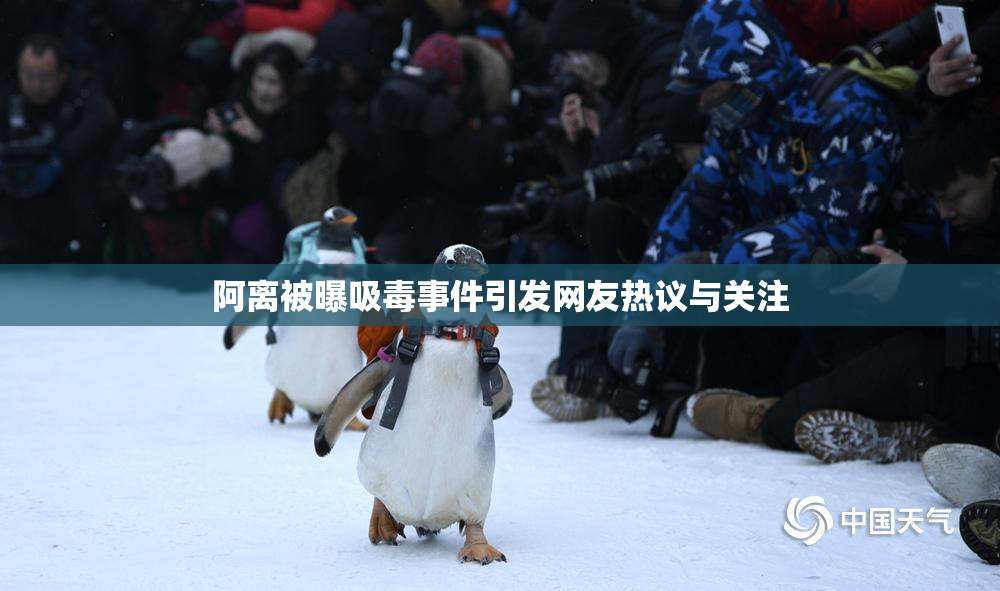 阿离被曝吸毒事件引发网友热议与关注