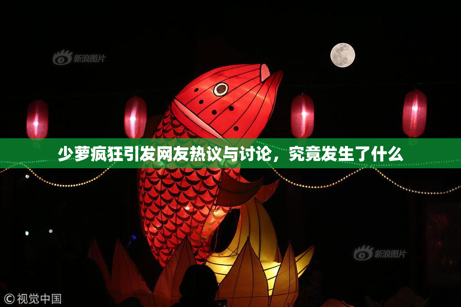 少萝疯狂引发网友热议与讨论，究竟发生了什么
