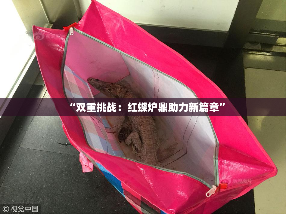 “双重挑战：红蝶炉鼎助力新篇章”