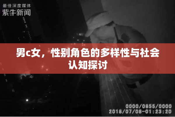 男c女，性别角色的多样性与社会认知探讨
