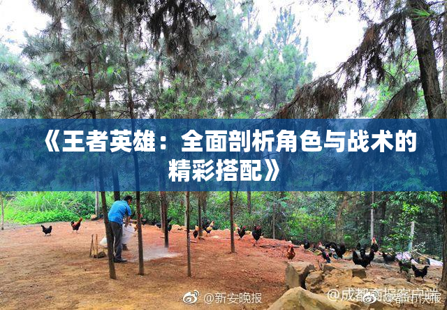 《王者英雄：全面剖析角色与战术的精彩搭配》