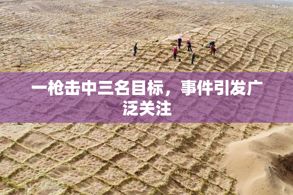 一枪击中三名目标，事件引发广泛关注