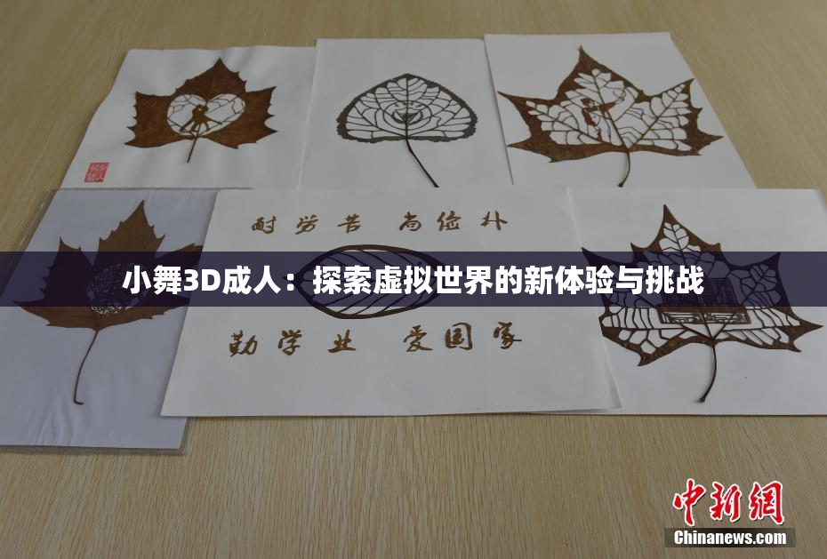 小舞3D成人：探索虚拟世界的新体验与挑战