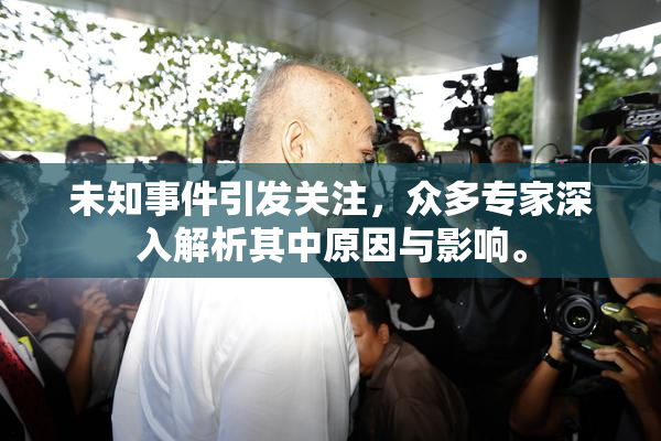 未知事件引发关注，众多专家深入解析其中原因与影响。