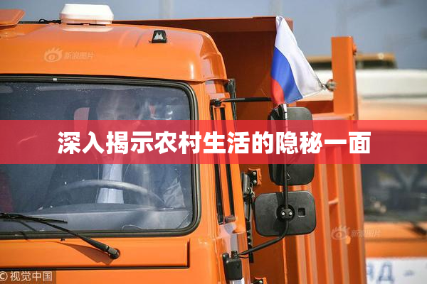 深入揭示农村生活的隐秘一面