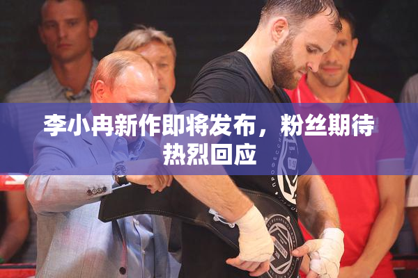李小冉新作即将发布，粉丝期待热烈回应