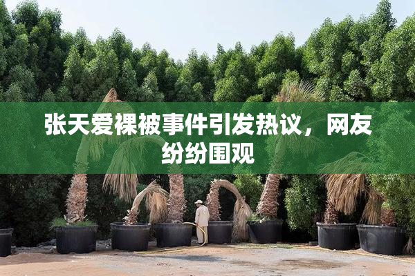 张天爱裸被事件引发热议，网友纷纷围观
