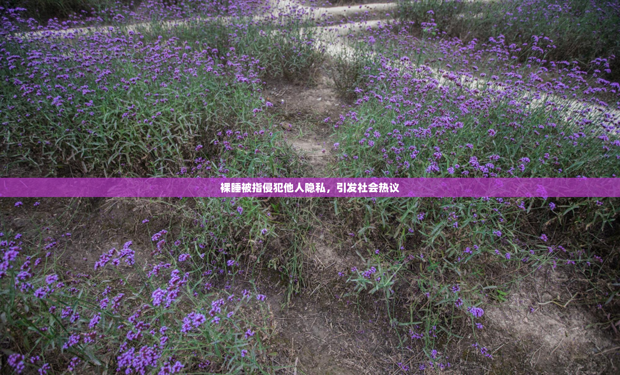 裸睡被指侵犯他人隐私，引发社会热议