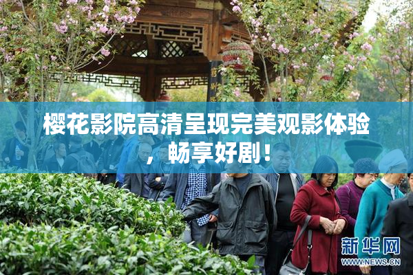 樱花影院高清呈现完美观影体验，畅享好剧！