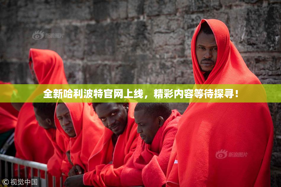 全新哈利波特官网上线，精彩内容等待探寻！