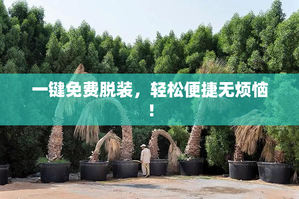 一键免费脱装，轻松便捷无烦恼！