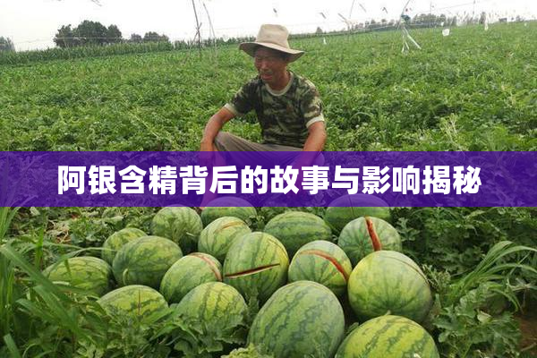阿银含精背后的故事与影响揭秘