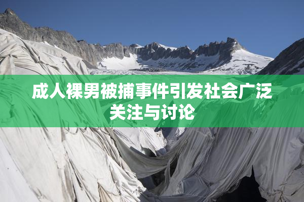 成人裸男被捕事件引发社会广泛关注与讨论
