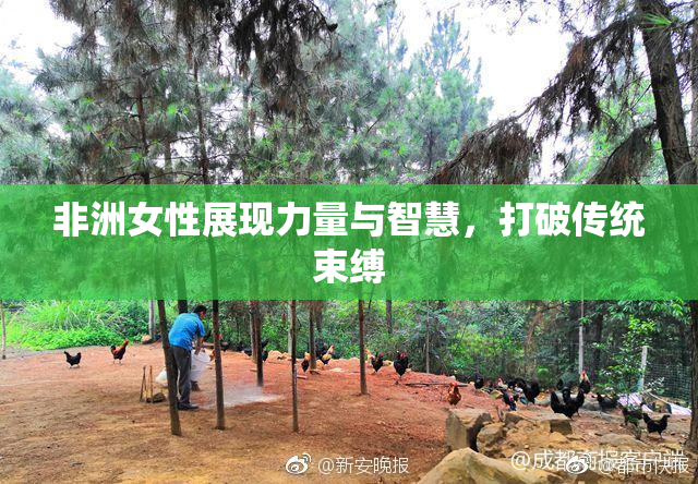 非洲女性展现力量与智慧，打破传统束缚