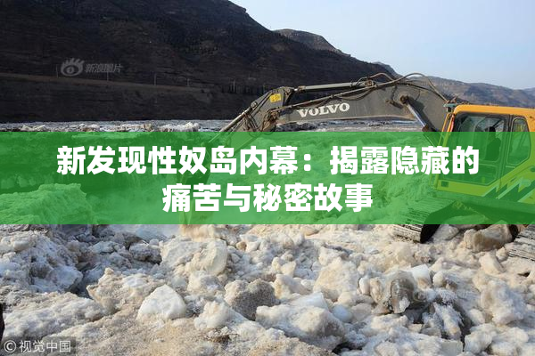 新发现性奴岛内幕：揭露隐藏的痛苦与秘密故事