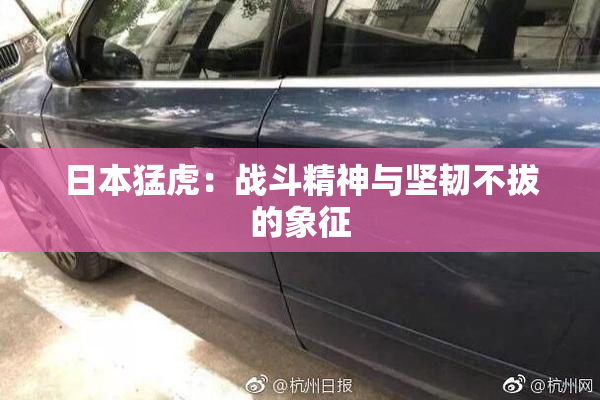 日本猛虎：战斗精神与坚韧不拔的象征